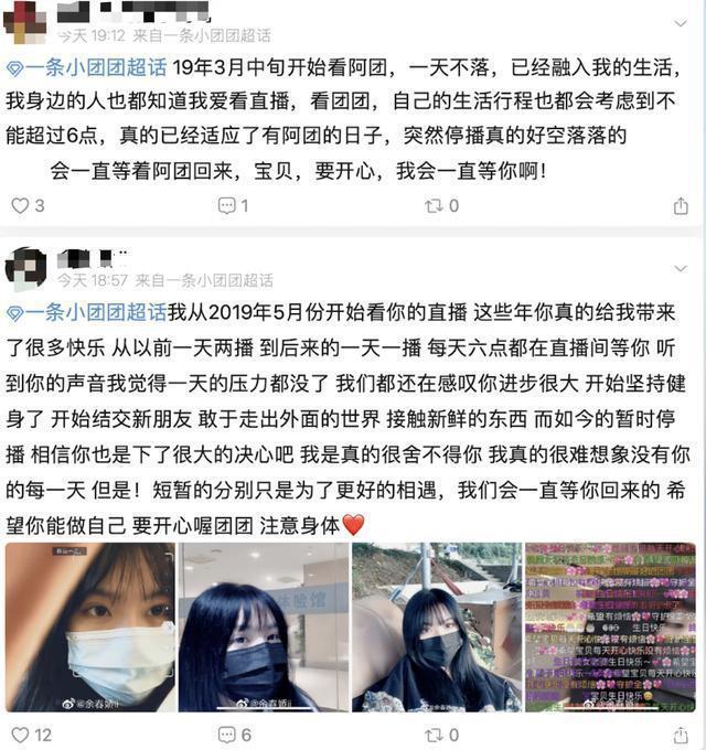 主播一条小团团为什么停播 小团团停播原因