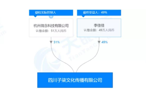 李子柒一年能赚多少钱 李子柒年收入过亿吗 网红资讯-第6张