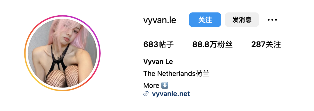 荷兰网红Vyvan Le，拥有精致氛围感穿搭的美女模特 小红书网红-第13张