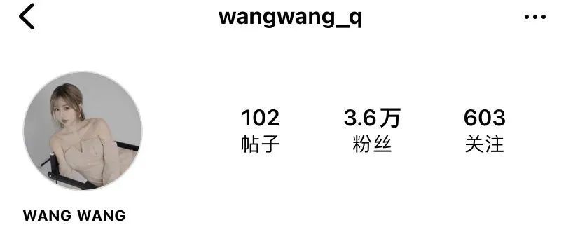 台湾网红wangwang，甜美又迷人的颜值系女神 小红书网红-第26张